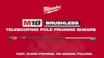 Milwaukee M18 Brushless Telescoping Pole Pruning Shears